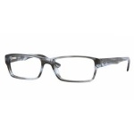 Lunettes Ray-Ban RX5169 - Gris transparent (2358)