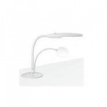 Loupe éclairante Daylight E23020