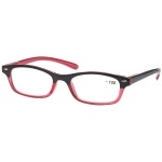 Lunettes Loupe R20A