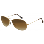 Lunettes Ray-Ban RB3362 001-51