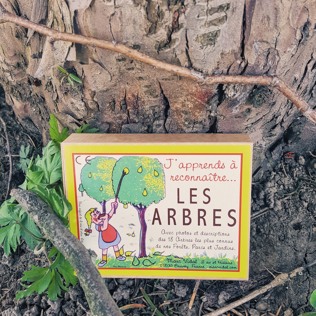 Cartes Ducatives Reconna Tre Les Arbres Communs Marc Vidal