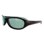 Coach - Chocoblack - Cat.3