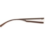 Branches Dilem ZJ0220