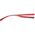 Branches Dilem ZJ0227