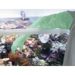TUNZE - Lot de 10 gants de protection contre les coraux urticants et autres animaux marins pouvant causer des brulures