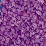 GENESIS - AquaSable Lavande 1kg sable pour aquarium