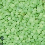GENESIS - AquaSable Vert Clair 1kg sable pour aquarium