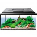 Aquarium tout equipé Aqua 4Start 60 x 30 x 30 cm, 54L avec ou sans meuble.