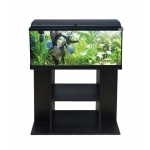 AQUATLANTIS - AquaDream 100 Noir aquarium tout équipé dim. 100 x 30 x 45 cm 115 Litres avec ou sans meuble
