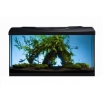 AQUAVIE - START UP 80 Noir aquarium de 112L tout équipé, 80 x 35 x 40 cm. Finition Haute gamme !