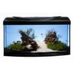 AQUAVIE - START UP 60B Noir aquarium 48L avec vitre avant bombé, tout équipé, 60 x 30 x 30 cm. Finition Haute gamme !