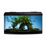 AQUAVIE - START UP 80B Noir aquarium 100L avec vitre avant bombé, tout équipé, 80 x 35 x 40 cm. Finition Haute gamme !