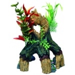 GENESIS  -  TRONC MANGROVE FLEURIE - Dimensions 25 x 23,75 x 30 cm