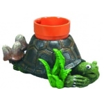 GENESIS  -  Pot de plantation ''TORTUE O DODO'' - Dimensions 10 x 12,5 x 10 cm