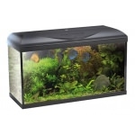 WAVE - Poseidon Riviera 80 aquarium 95L tout équipé de 80cm avec ou sans meuble