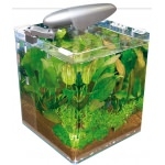 WAVE - Box Cube 25 Cosmos nano aquarium tout equipé de 16,5L dimensions : 25 X 25 X 30 cm