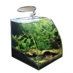 WAVE - Box Vision 30 nano aquarium avec vitre avant courbé tout equipé de 20L dimensions : 30 X 30 / 30 X 15 cm