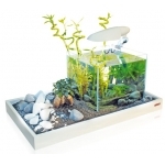 WAVE - Zen Artist 50 Blanc kit aquarium 15L avec plateau à décorer pour la reproduction d'un paysage aquatique et terrestre