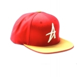 Casquette ALTAMONT The Wood tan