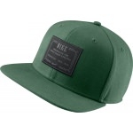 Casquette NIKE Icon Snap Back green