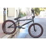 Bmx FIEND Custom "Garrett Reynolds"