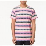 Tee shirt VANS pink eruption pink