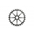 treeheattreated25dents