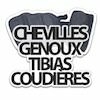 chevddddes