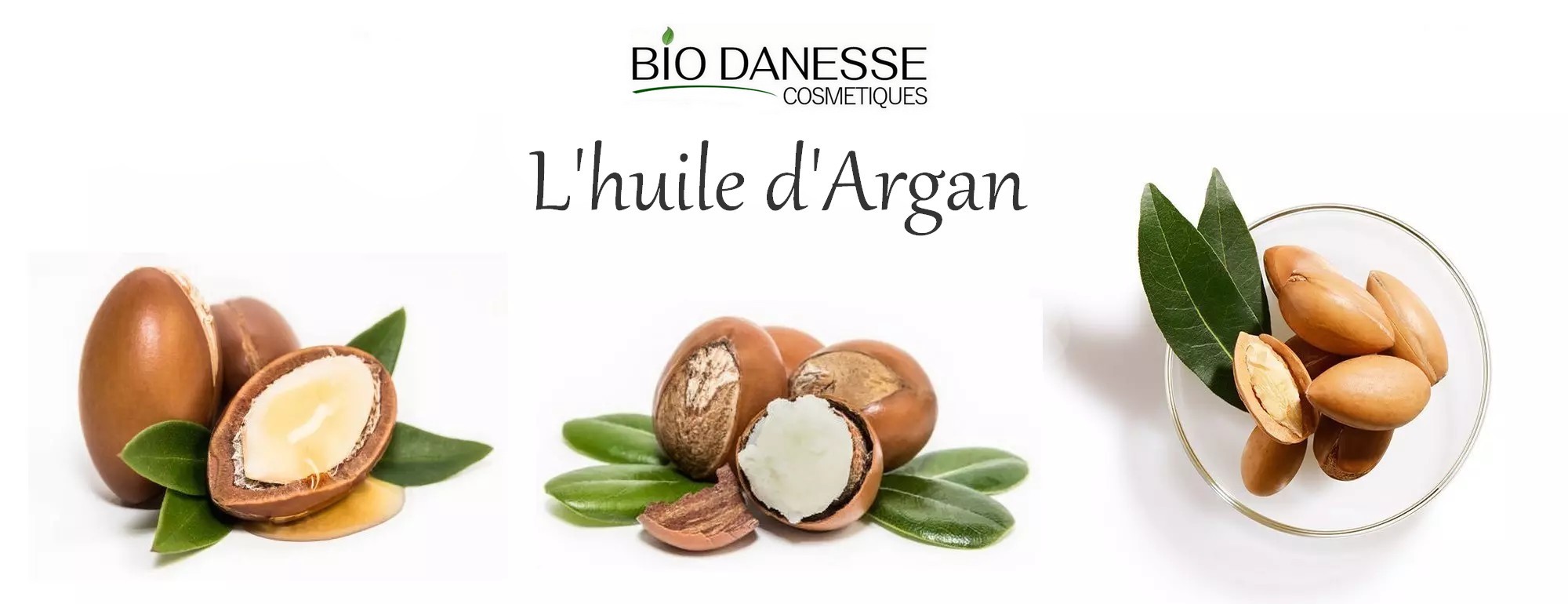 Découvrez les bienfaits de l huile d argan pour la peau