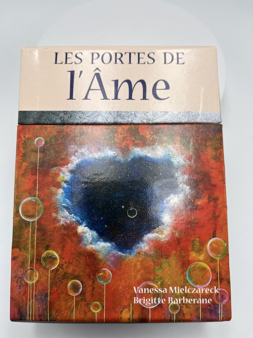 Les Portes de l Âme coffret Pour réussir sa Mission de Vie Livres