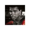 Mohamed ALI (Cassius CLAY Jr., dit)