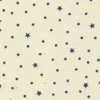 cookie blueberry