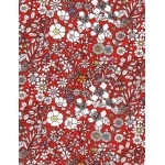 Liberty June's Meadow rouge coloris B 20x137 cm