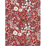 Liberty June's Meadow rouge coloris B 20x137 cm