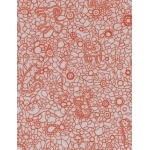 Liberty Powell orange B 20 x 137 cm