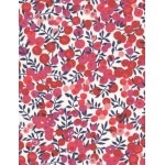 Liberty Wiltshire blanc S 20x137 cm