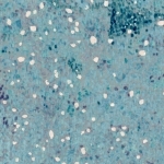 Tissu Nani Iro Birds Eye bleu gris