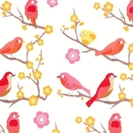 Tissu Madame Mo Petits oiseaux 20 x 160 cm