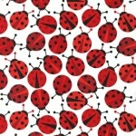 Tissu enduit Kaufman Coccinelles 20x150 cm