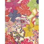 Liberty Mauvey  multico F 20x135 cm
