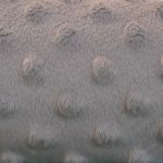 Jersey velours 'minky' gris 20x140 cm