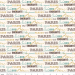 DERNIER COUPON Tissu Paris & Company Enchanté 1m70x110 cm