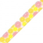 Ruban Citron et Pamplemousse 50cm