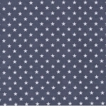 Batiste FDS Orageux étoiles blanches 20x138 cm