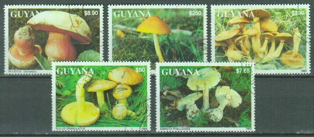 Guyane Champignons S Rie Oblit R E De Monde Timbres