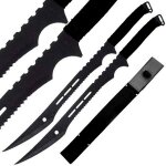 Pack 2 katanas Ninja 68cm + étui, katana épée