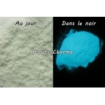 Pigments Phosphorescents - NOUVELLES TEINTES !