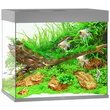 Substrat de sol pour aquarium que choisir? 
