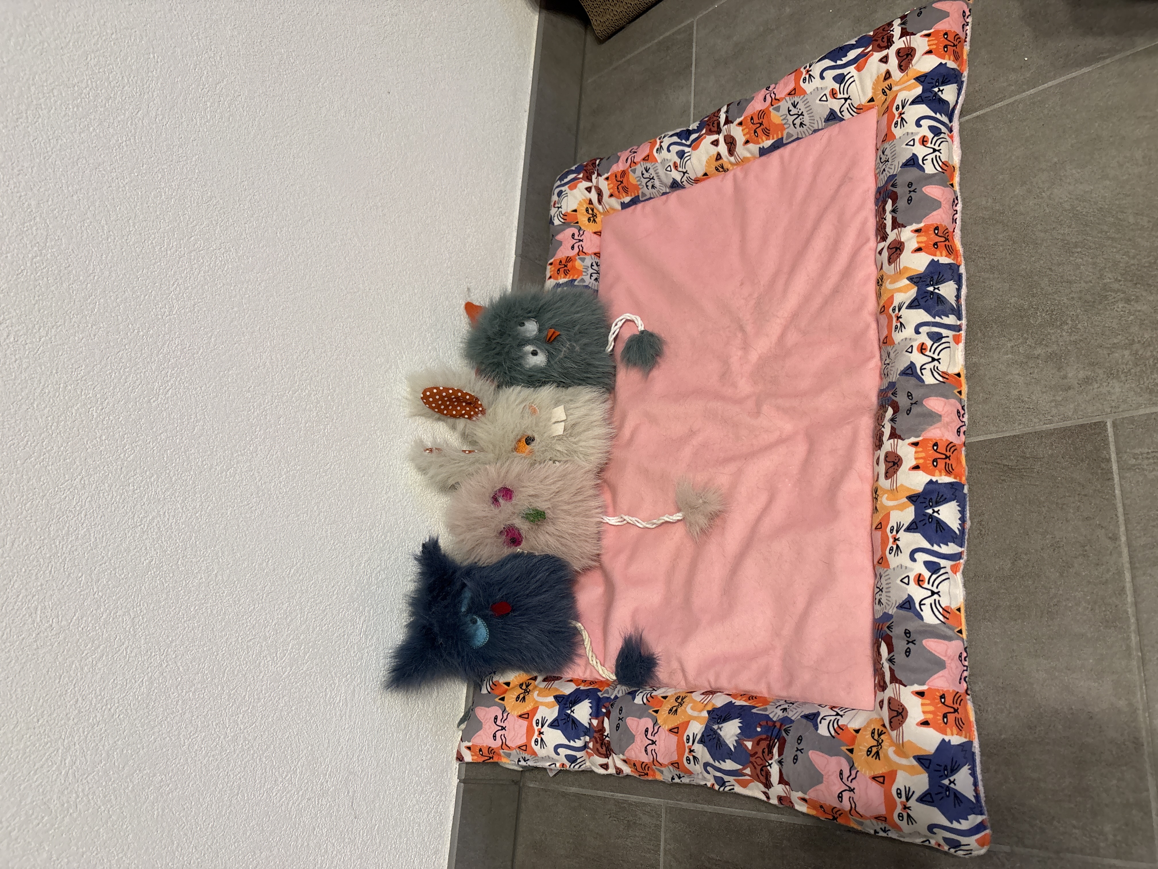 6a231d32a058b image
