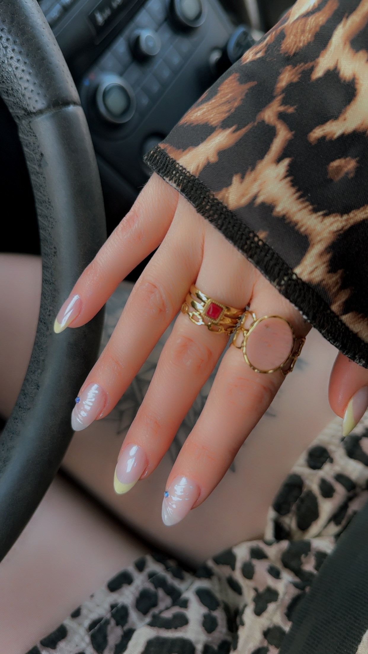 681a0e086236e IMG 7880